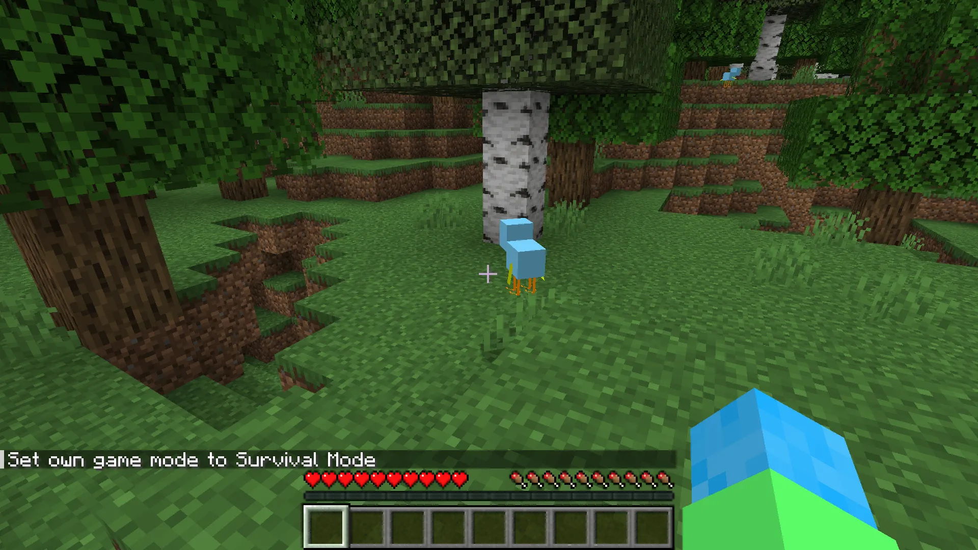 The Bird — скриншот 1 (Моды, Minecraft)