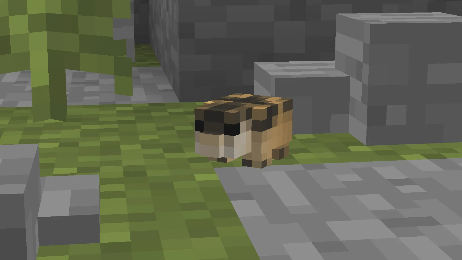European Wildlife — скриншот 3 (Моды, Minecraft)