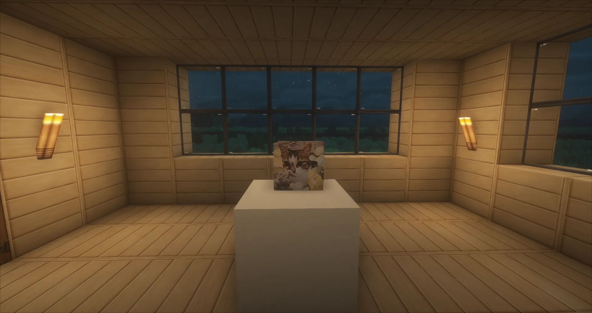 Catz mod, Моды, Minecraft