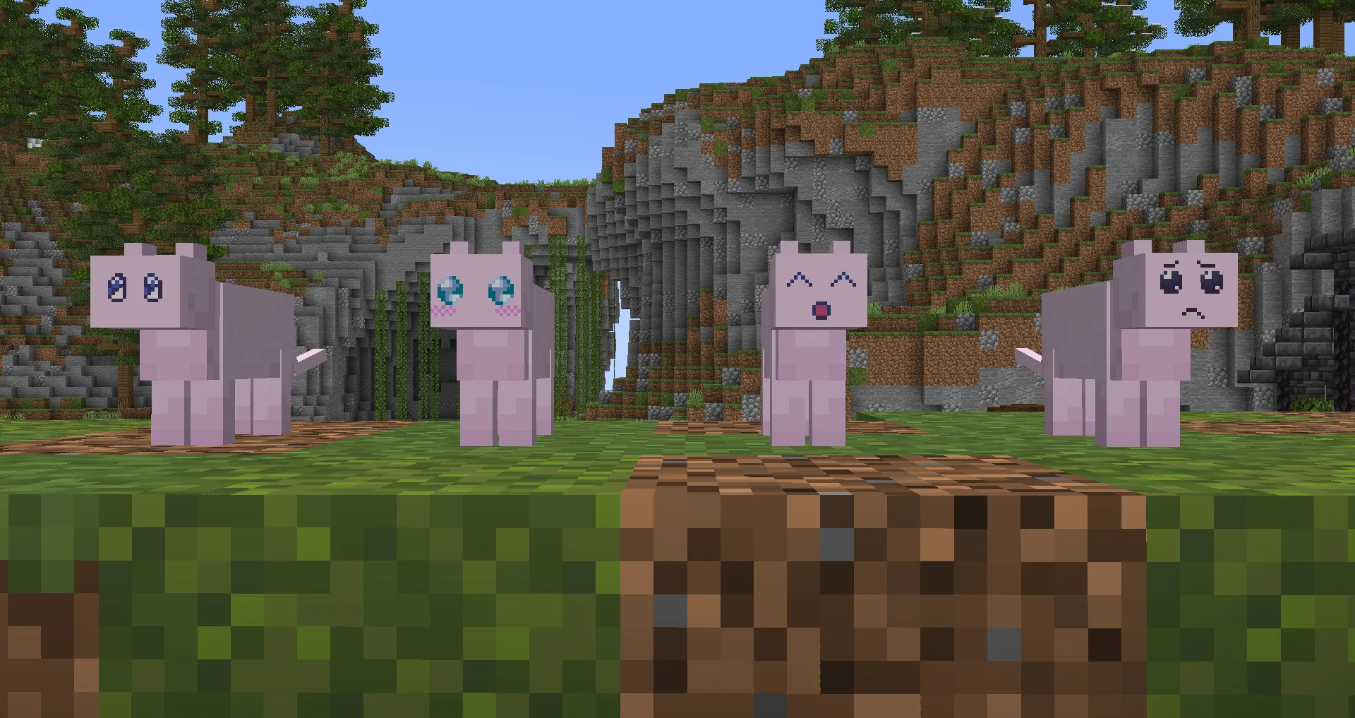 Pien cat from NGO NSO, Текстуры, Minecraft