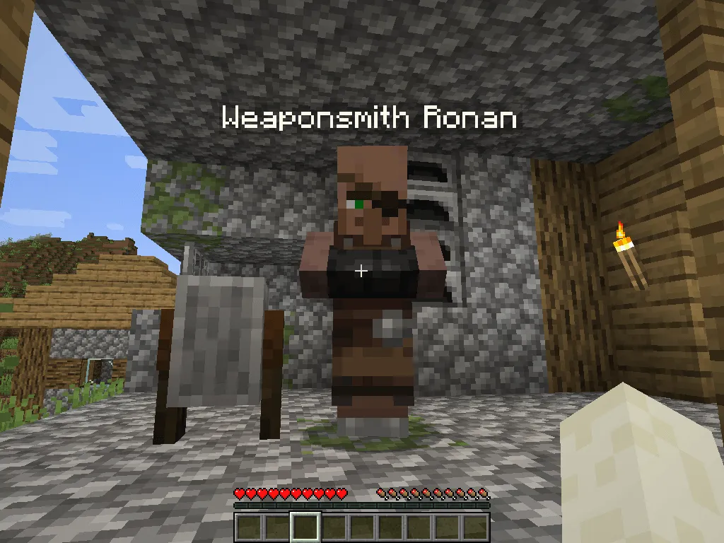 Custom Villager Names — скриншот 1 (Моды, Minecraft)