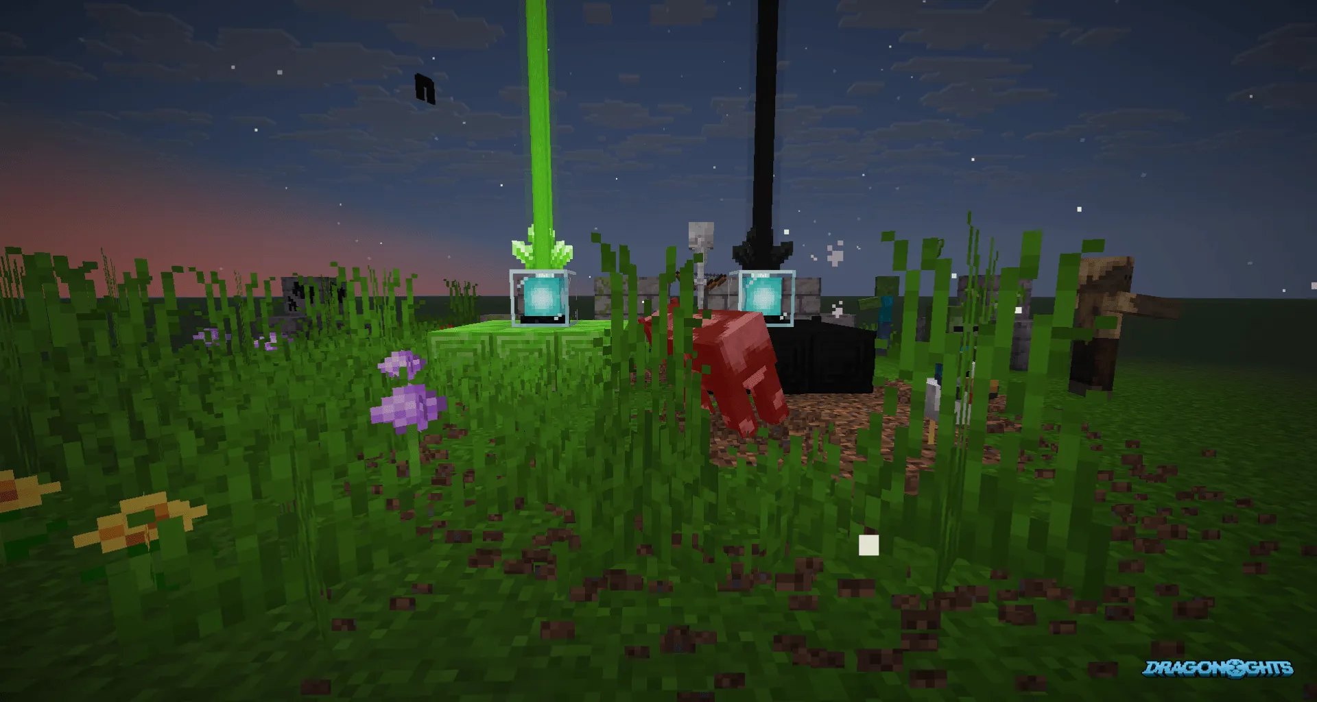 Dragonights, Моды, Minecraft
