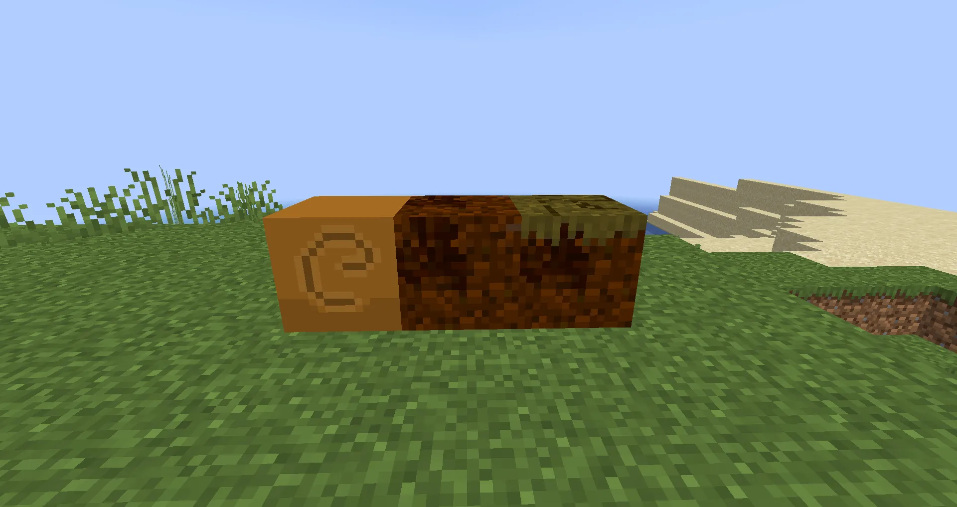 Druid Forest: Work In Progress, Моды, Minecraft