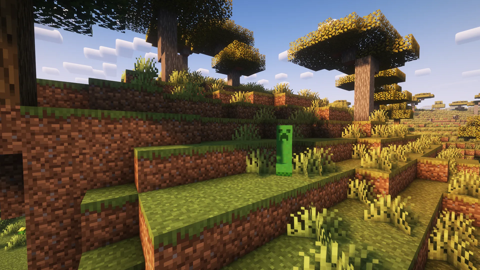 Creeper ReTexture, Текстуры, Minecraft