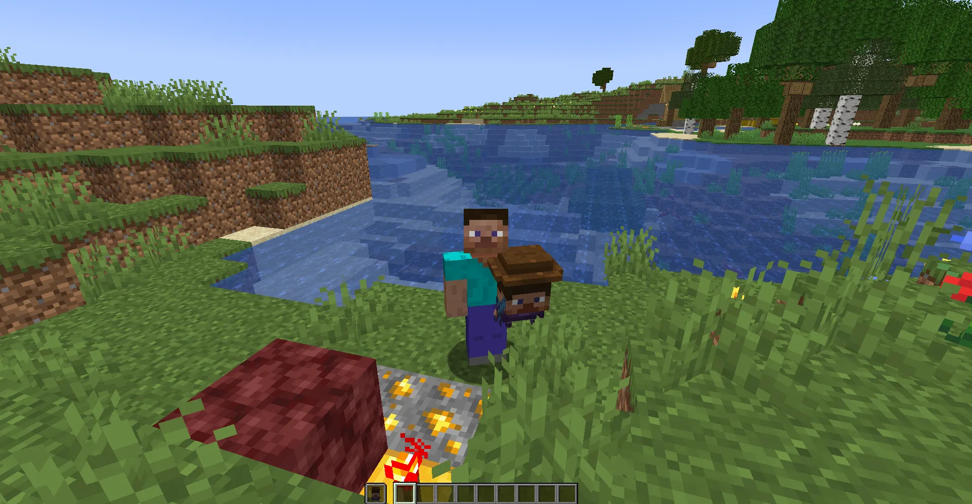 Micro Steve, Моды, Minecraft