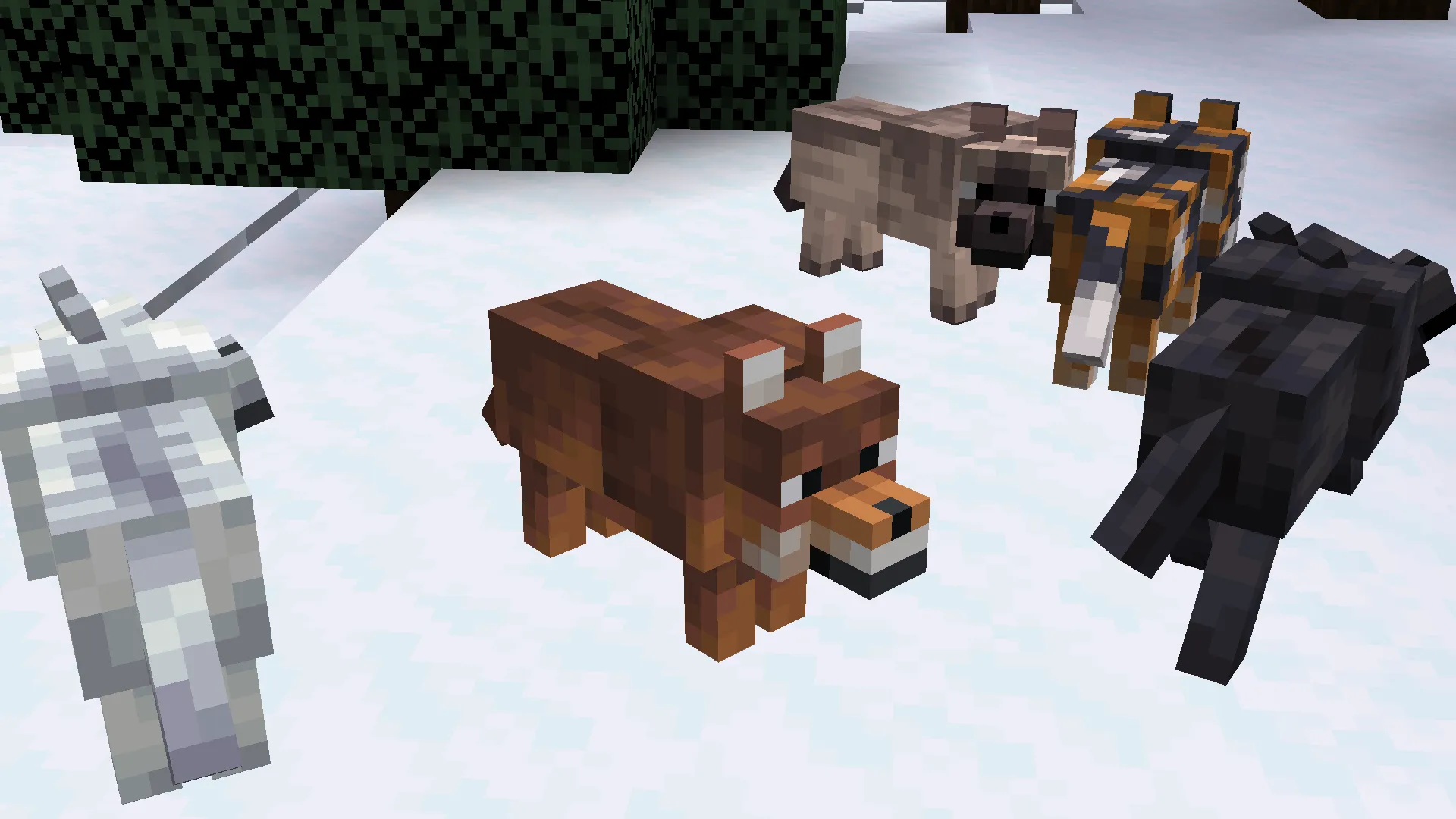 Better Wolf Variants, Дата-паки, Minecraft
