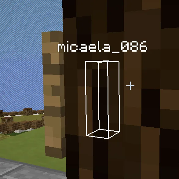 PlayerESP (Wallhack), Моды, Minecraft