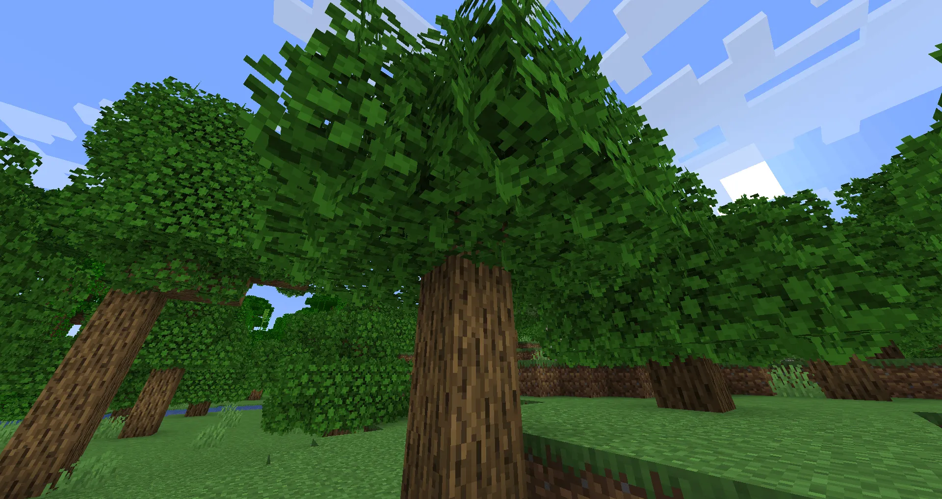Better Leaves Plus, Текстуры, Minecraft