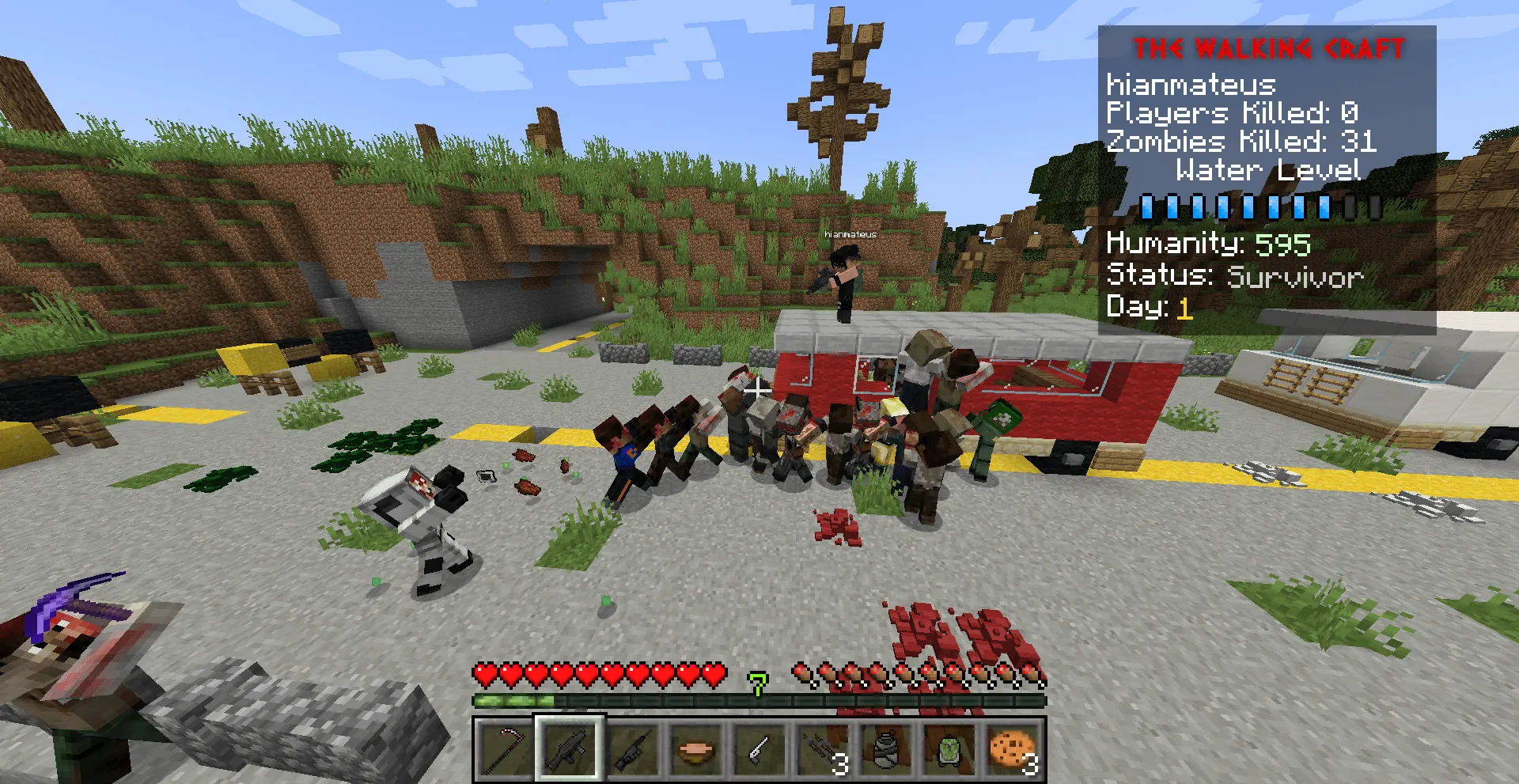 The Walking Craft, Моды, Minecraft
