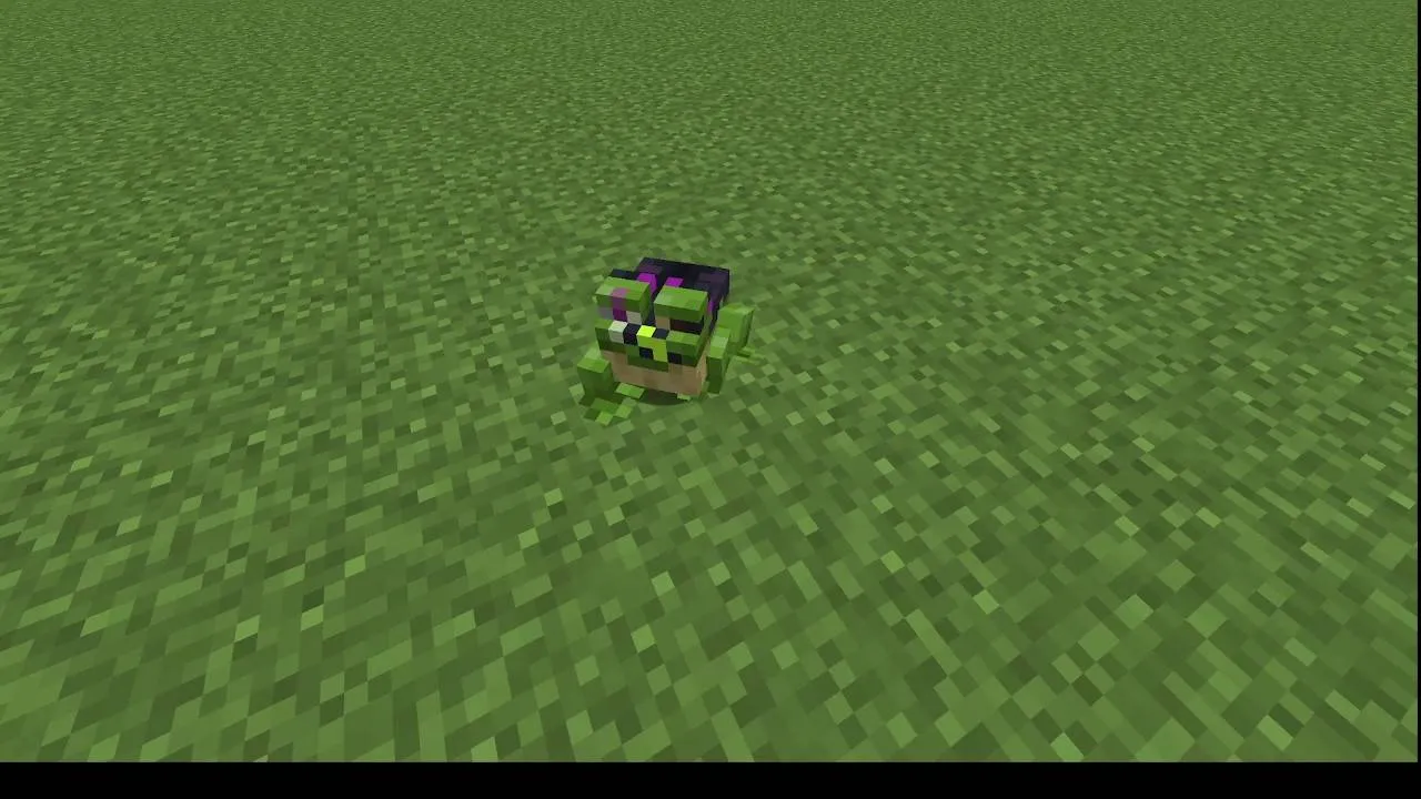 Coqui Plush, Текстуры, Minecraft