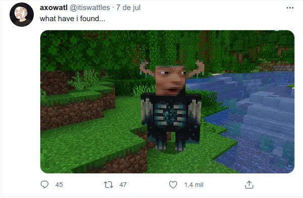 The Ultimate Warden Modpack, Модпаки, Minecraft