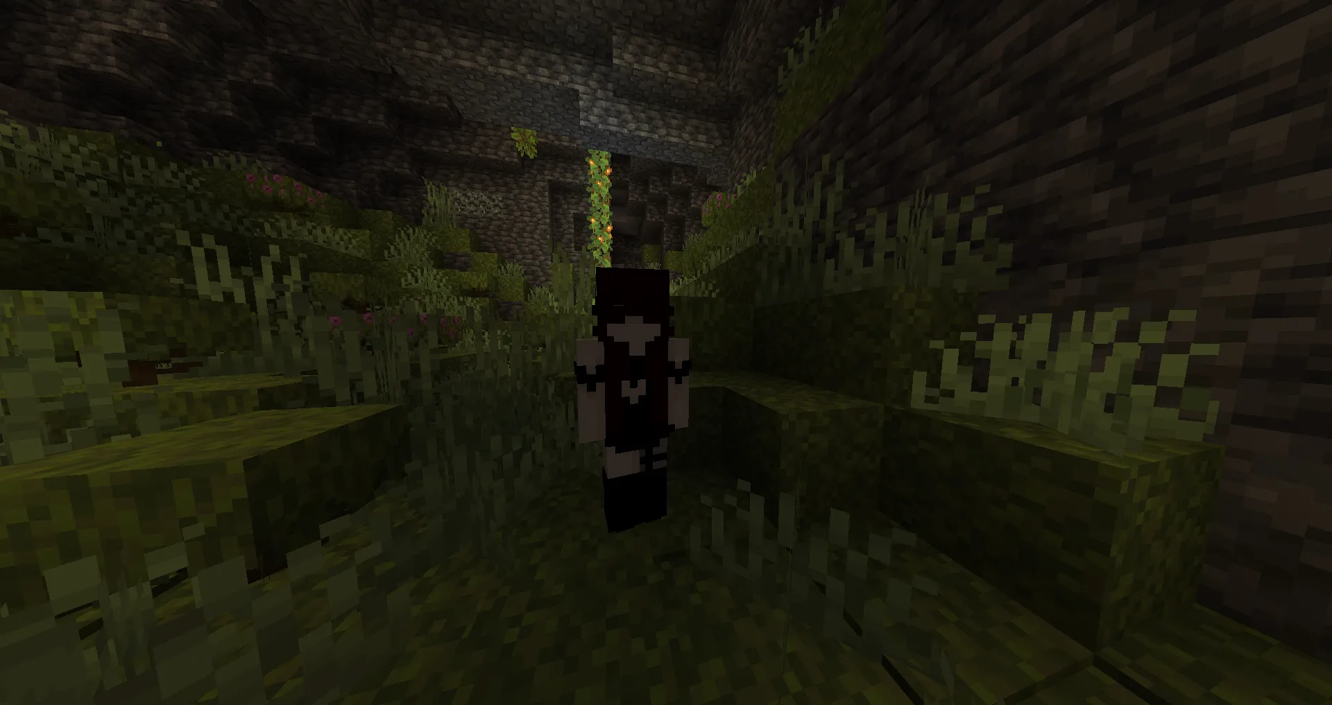 The Snail, Моды, Minecraft