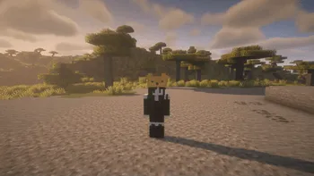 LDShadowLady's Disney Wish Rebrushed, Моды, Minecraft