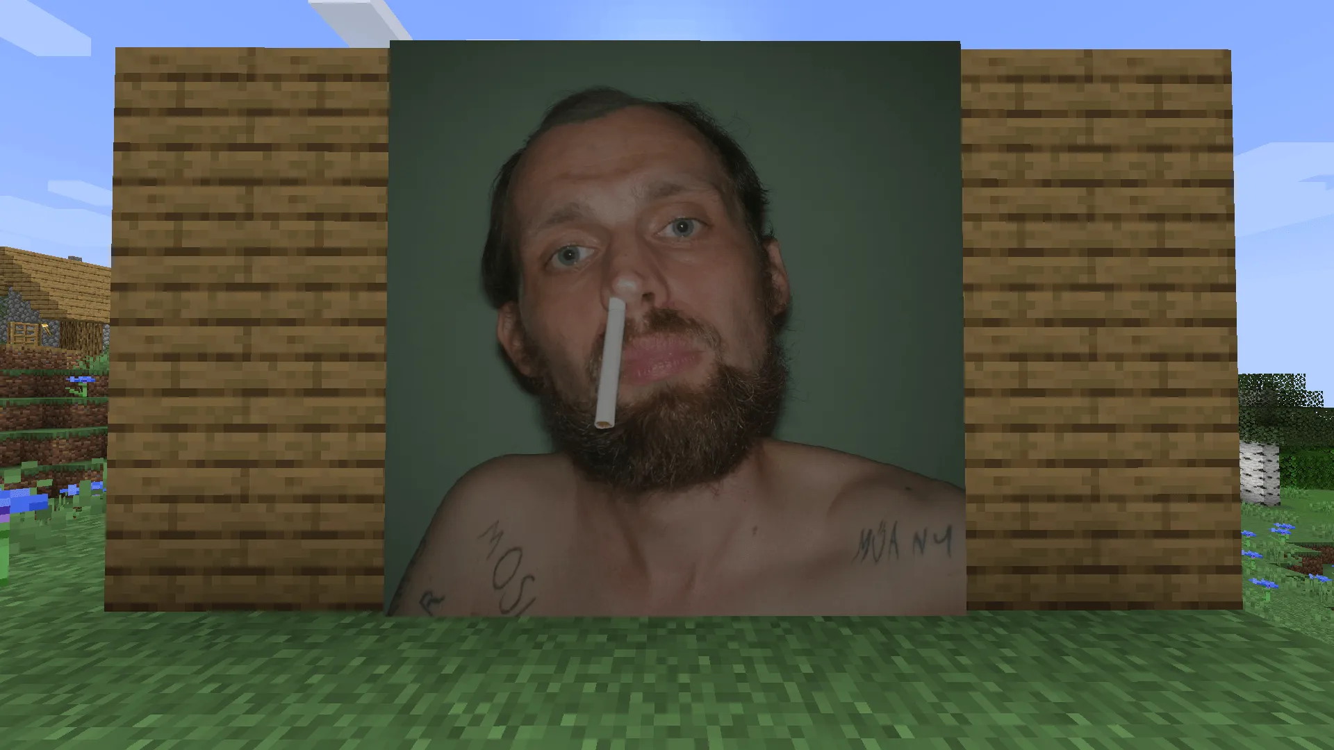 Kőbambi, Текстуры, Minecraft