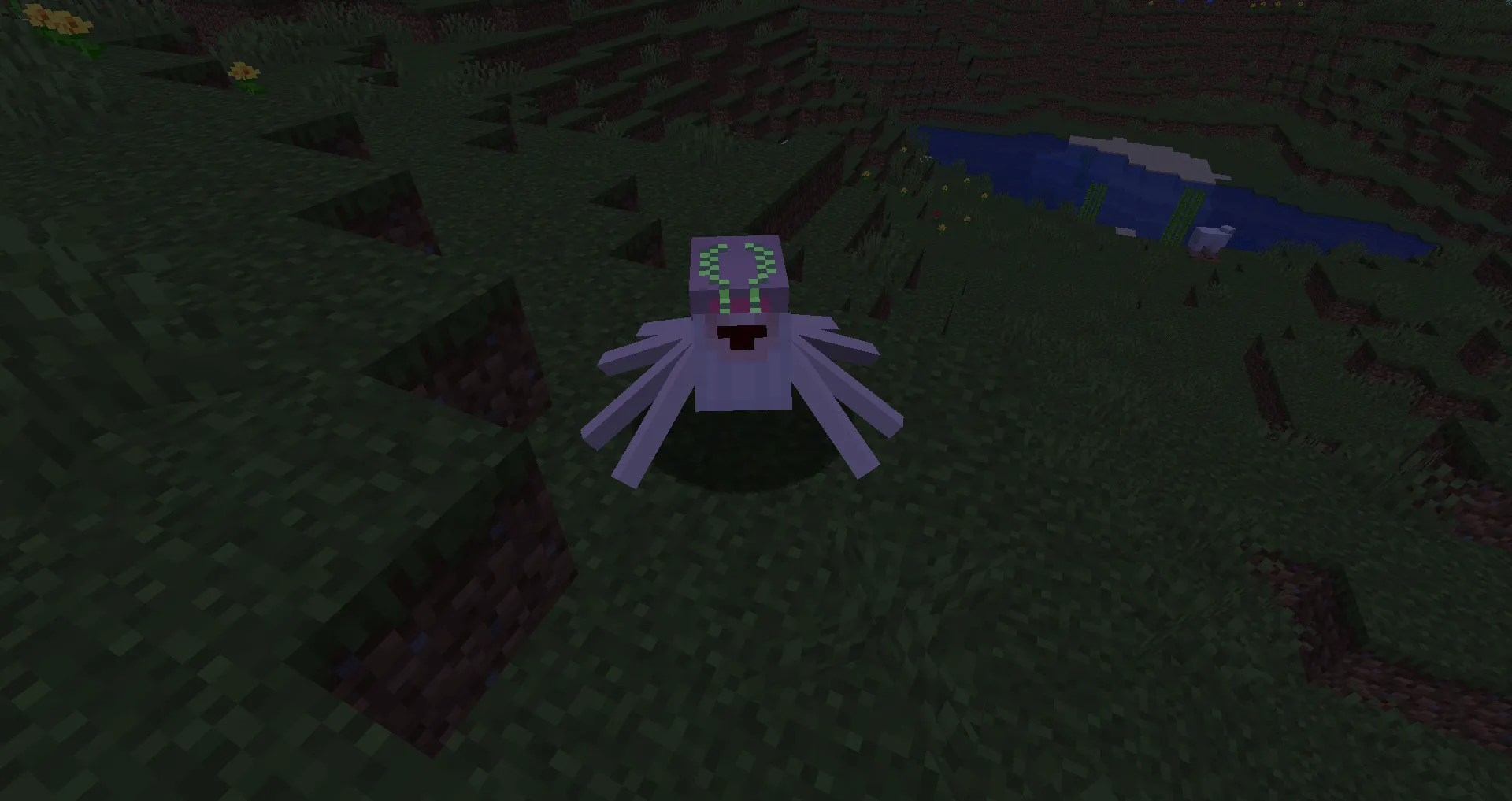 Roroachi Spider, Текстуры, Minecraft