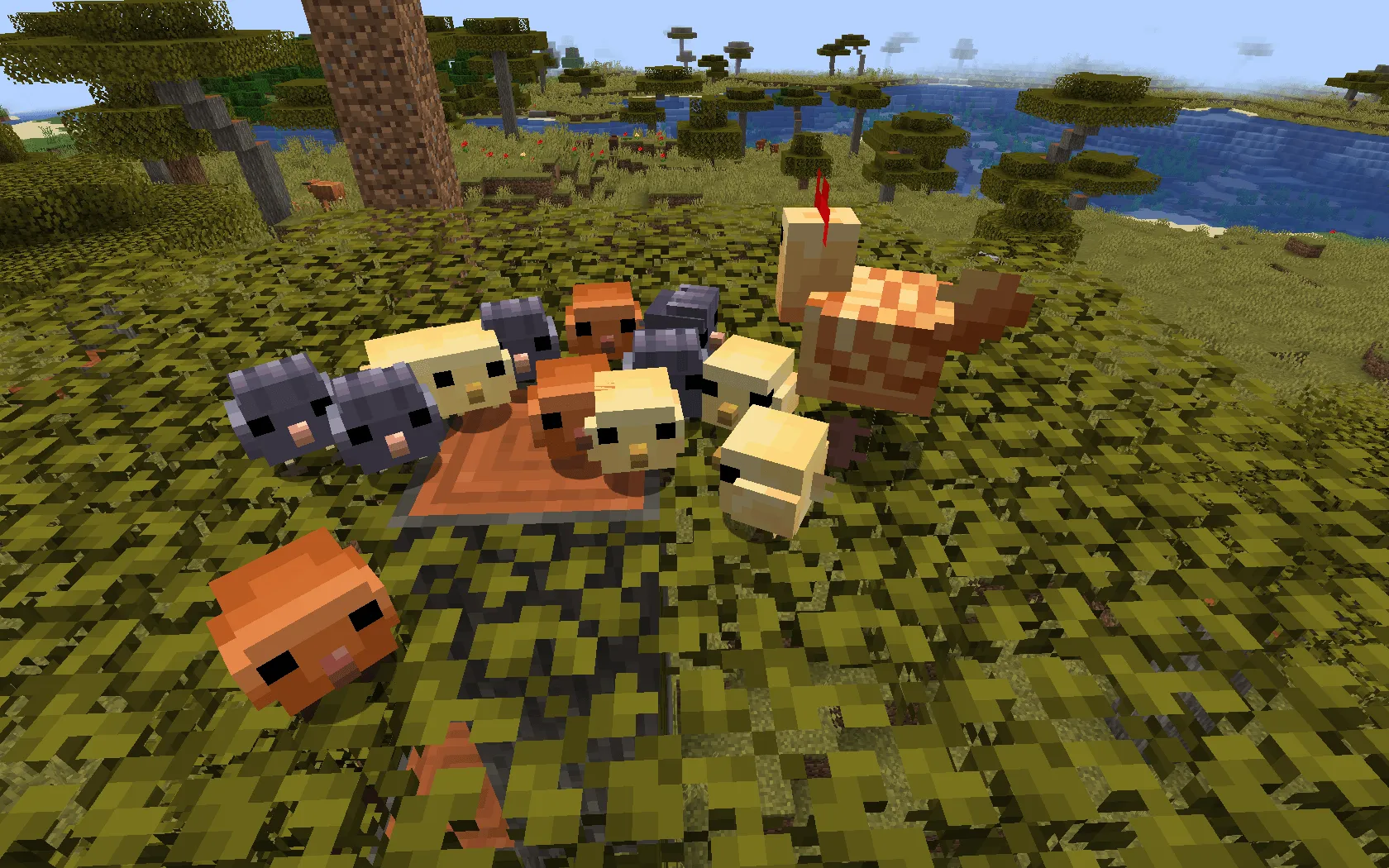 Kassy's Chickens — скриншот 2 (Текстуры, Minecraft)