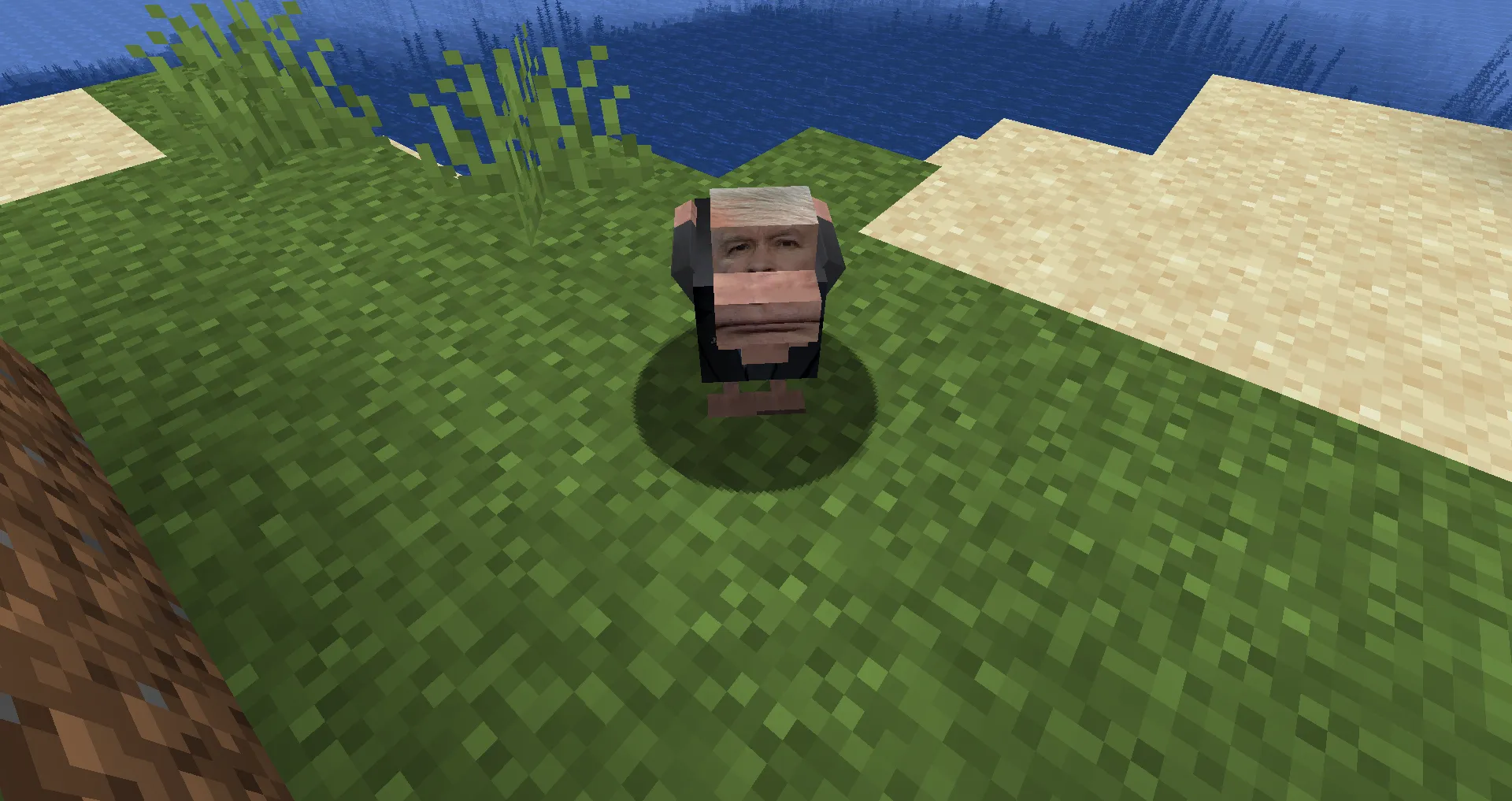 PolandCraft, Моды, Minecraft