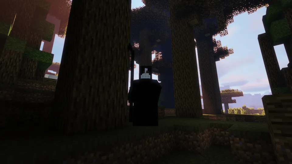 Schizophrenic RPG mod, Моды, Minecraft
