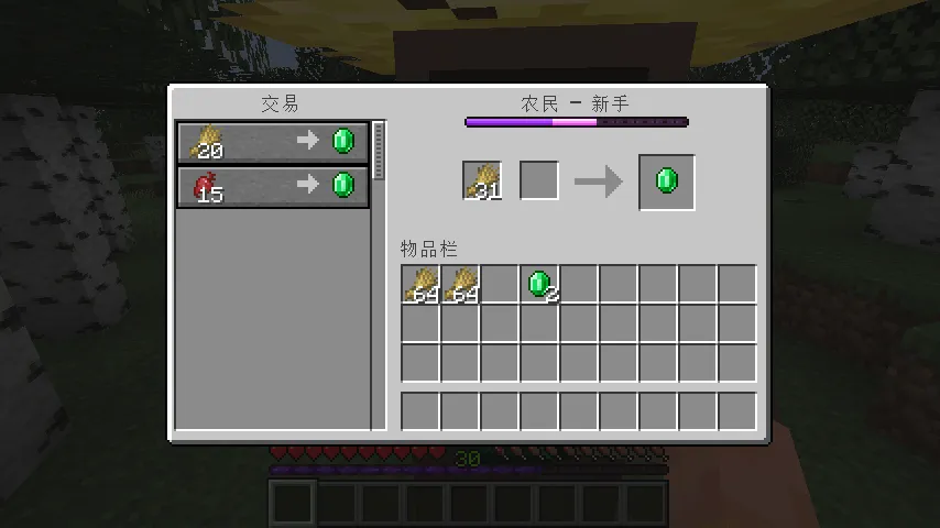 Purple Dream Experience Bar — скриншот 1 (Текстуры, Minecraft)