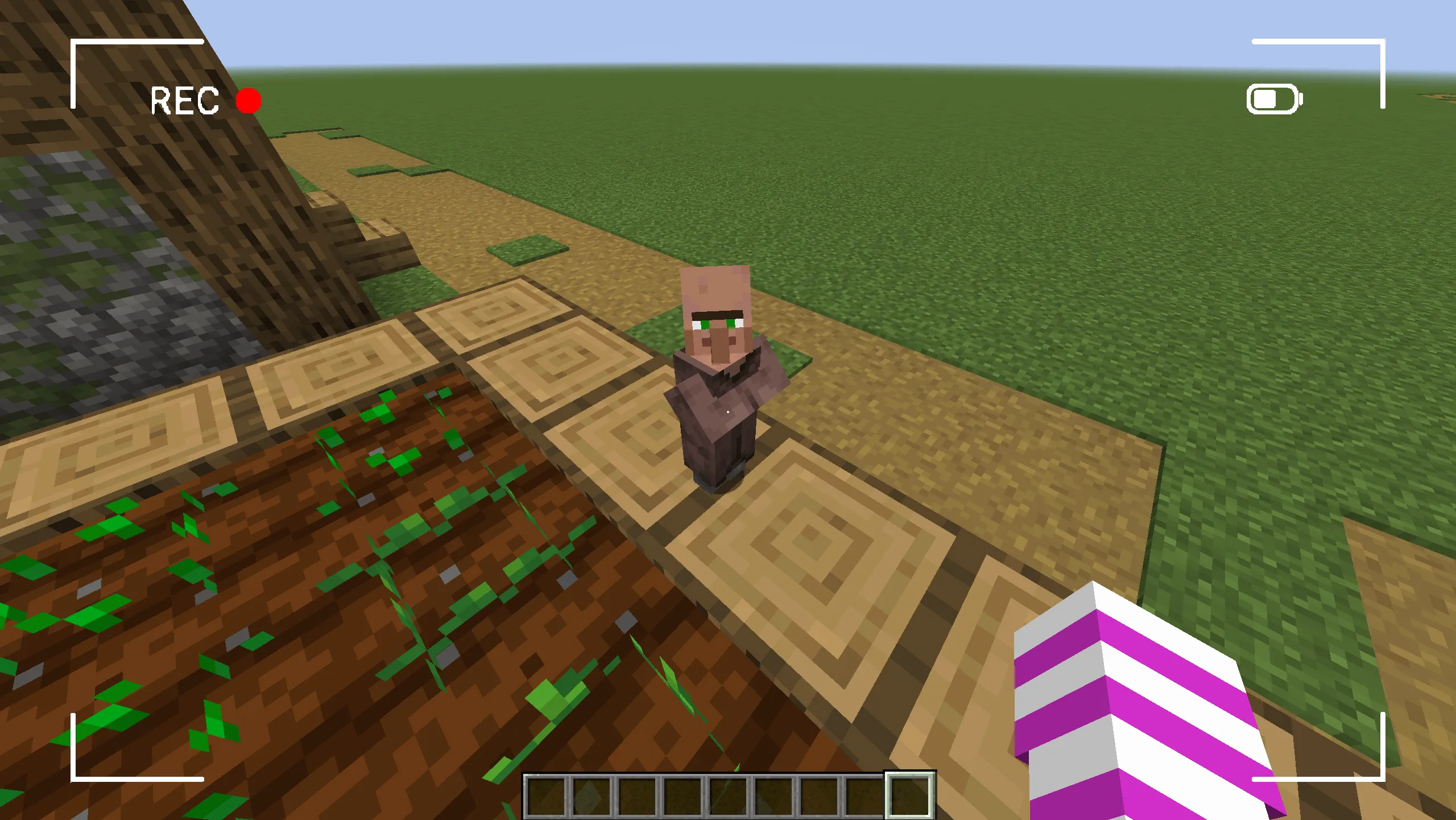 CameraHUD, Моды, Minecraft