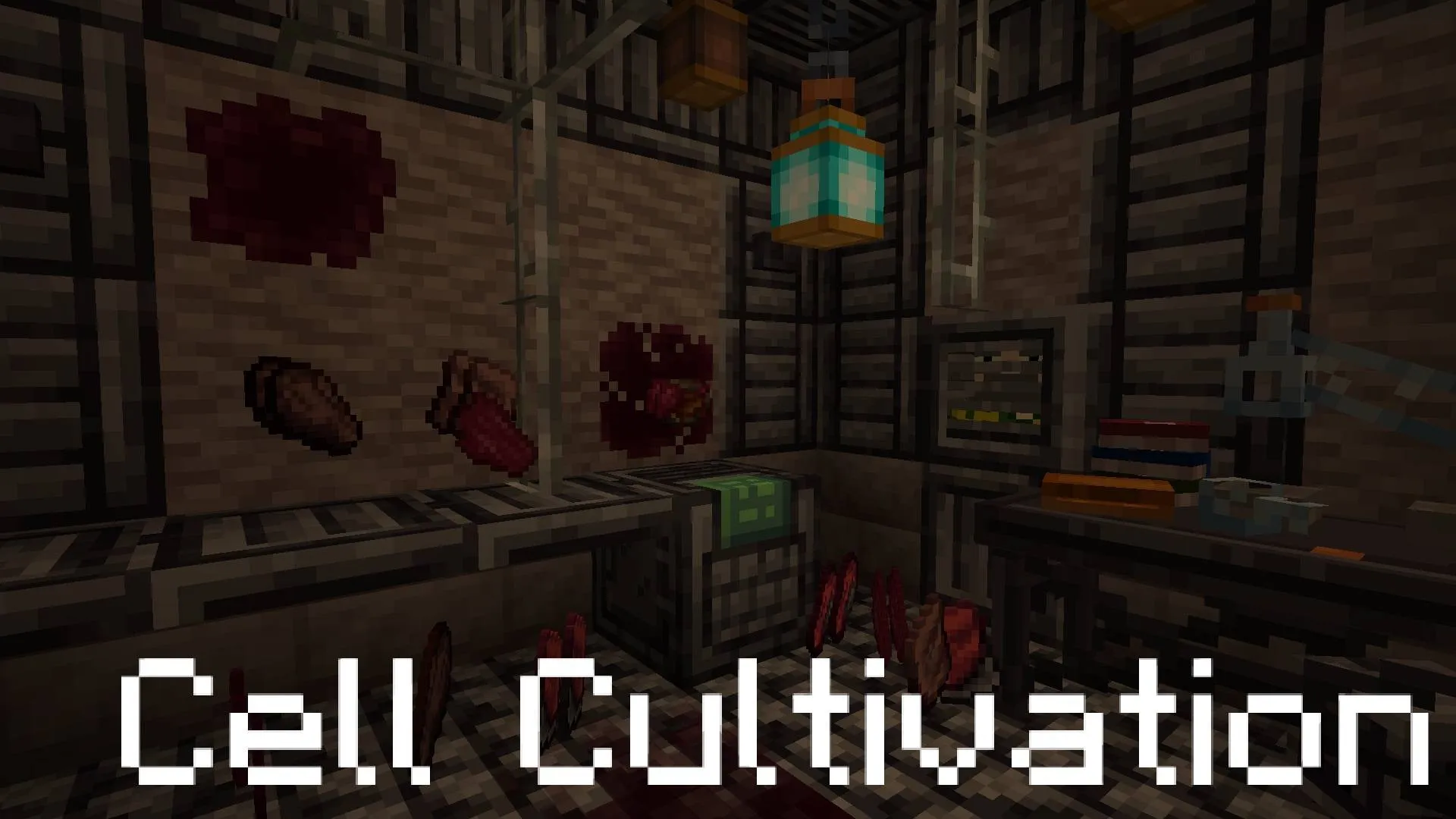 [CS] Augmentations, Моды, Minecraft