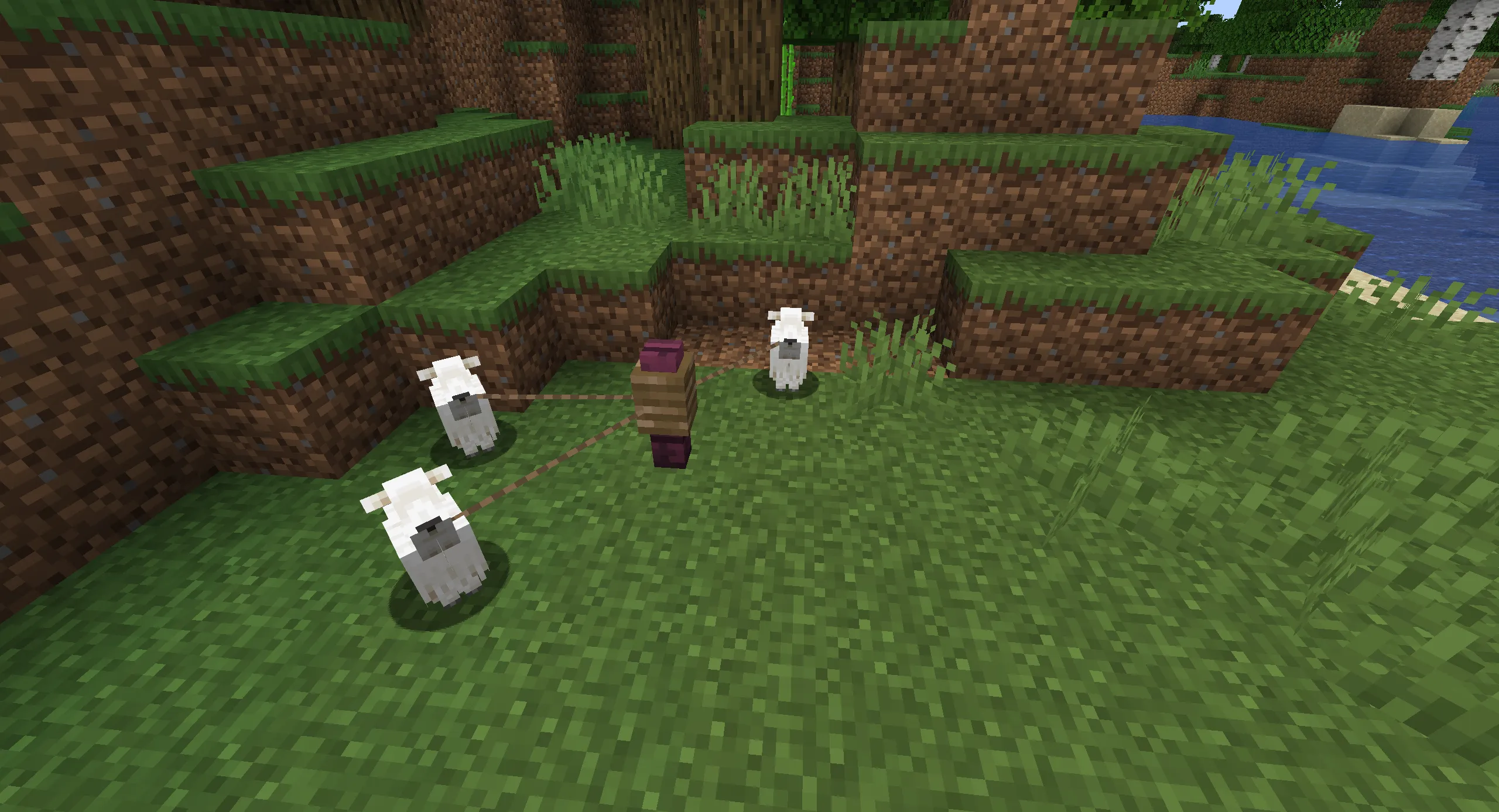 Prevent Aging — скриншот 1 (Моды, Minecraft)