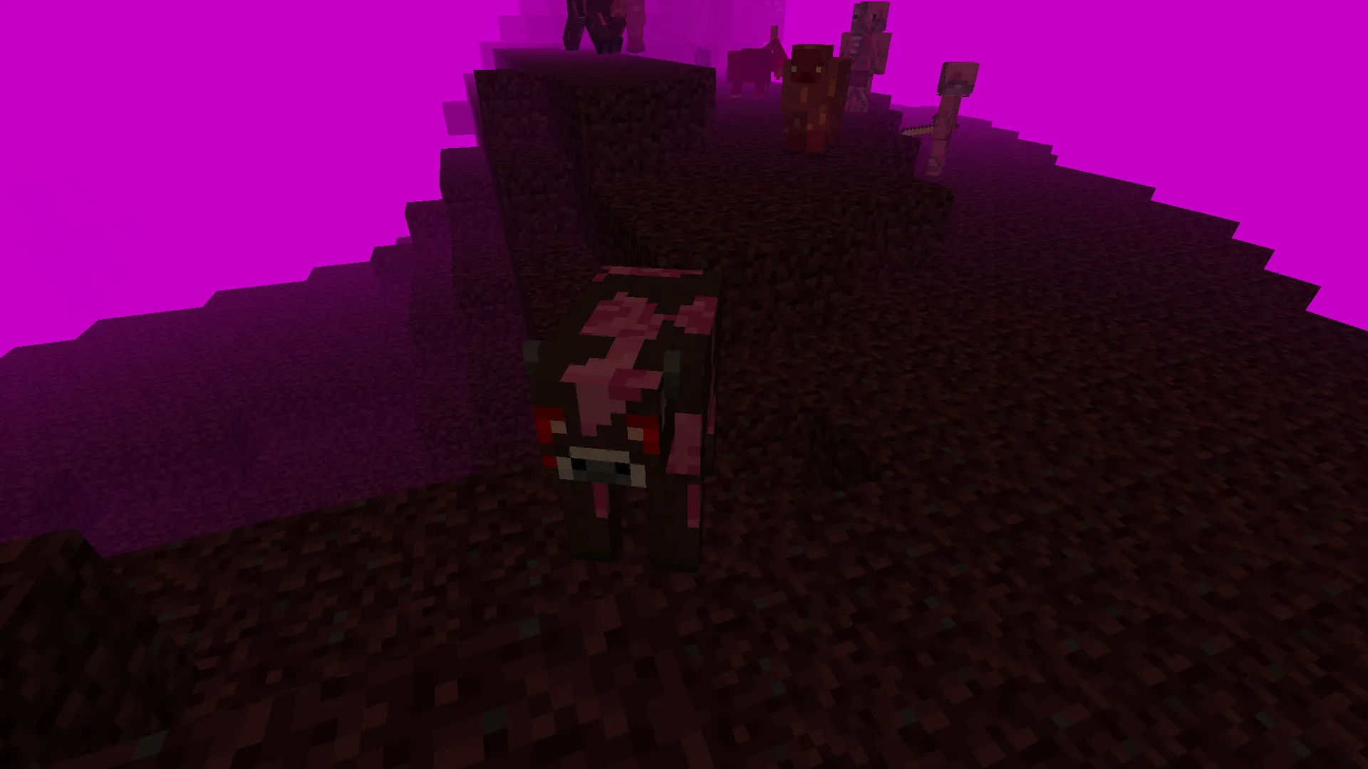Nether Update Plus remake — скриншот 7 (Моды, Minecraft)