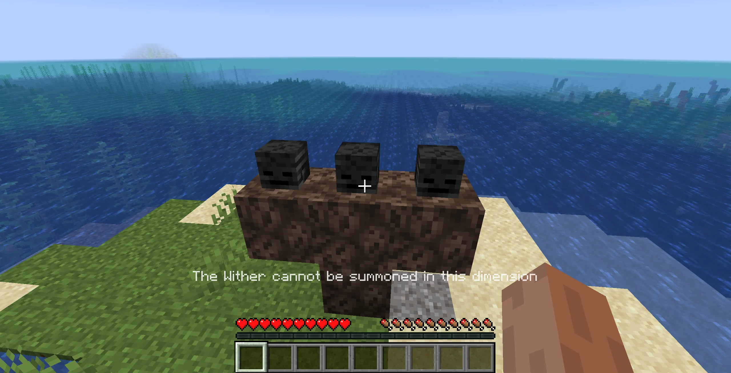 Wither Dimension Filter (Forge), Моды, Minecraft