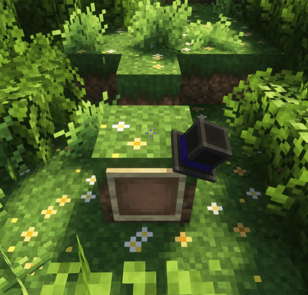 Bitgen top hat, Моды, Minecraft