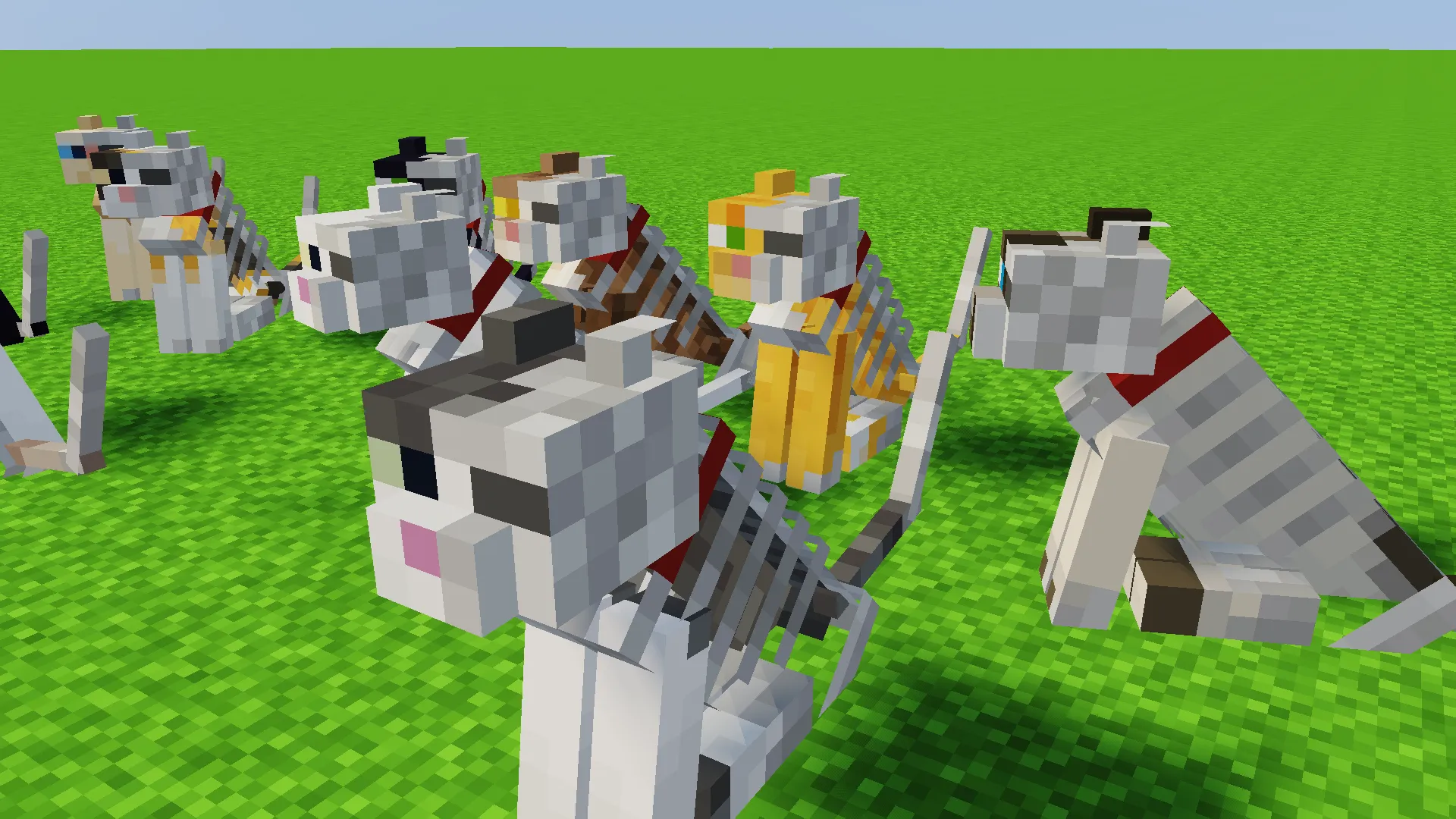 Schrodinger's cats, Текстуры, Minecraft