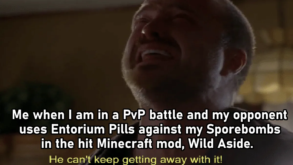 Wild Aside, Моды, Minecraft