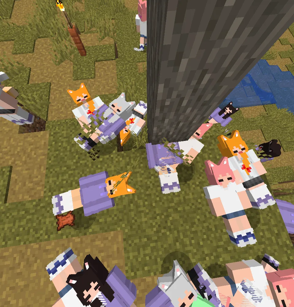 src3453's Kemomimi Girls! — скриншот 3 (Текстуры, Minecraft)