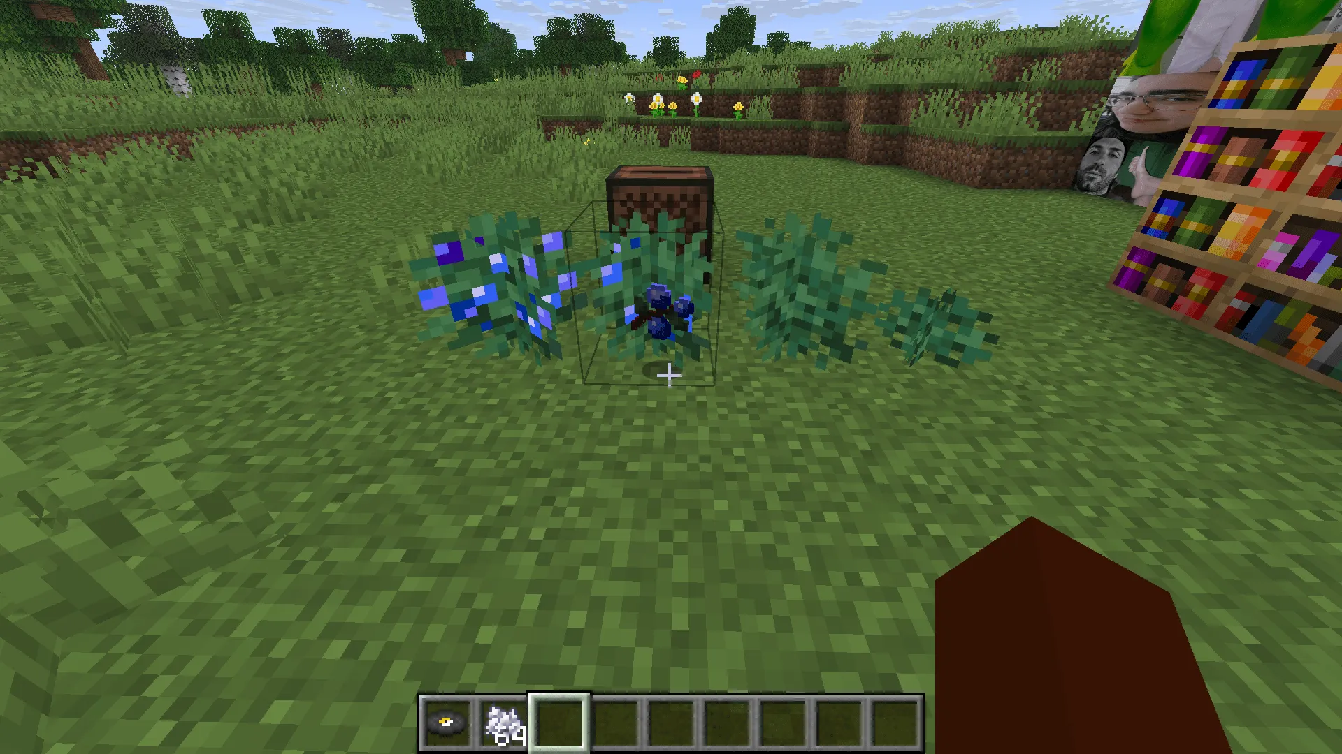 savarigna, Текстуры, Minecraft