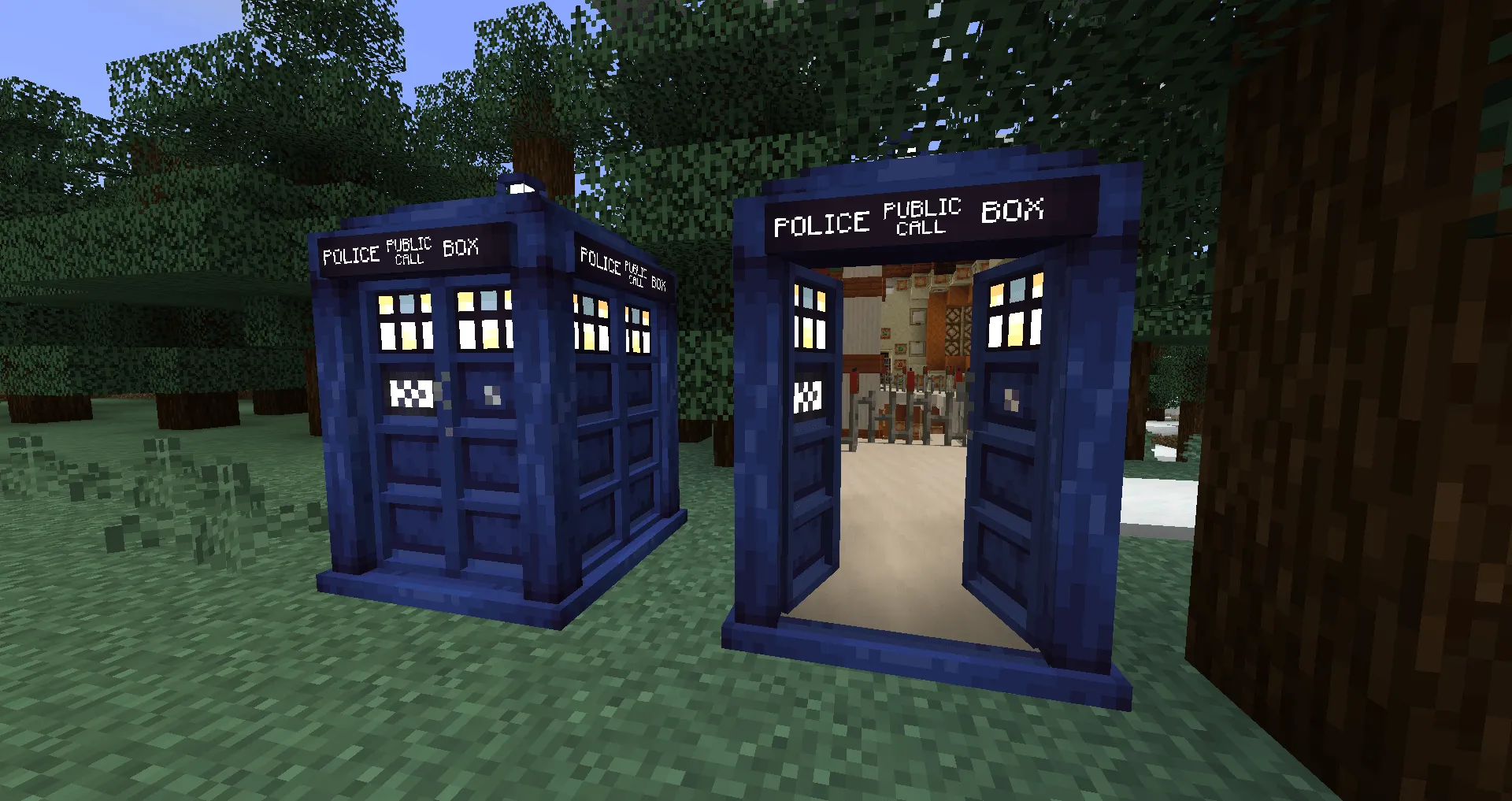 THE Doctor Who Client Mod — скриншот 5 (Моды, Minecraft)