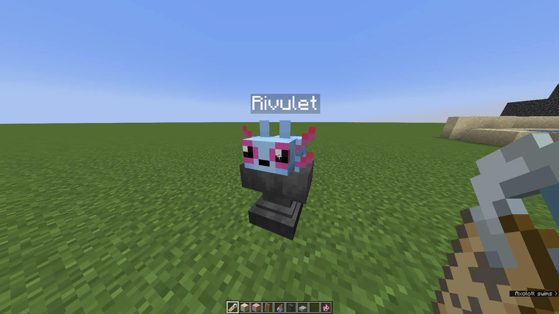 Rivulet the slugcat — скриншот 2 (Текстуры, Minecraft)