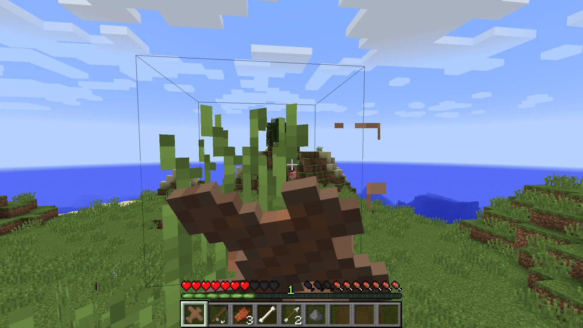 Narwhal Mod, Моды, Minecraft