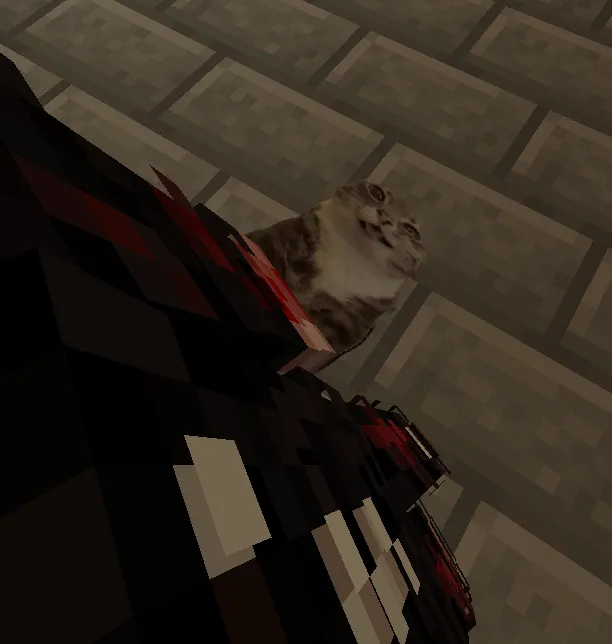 The Undying Cat, Текстуры, Minecraft
