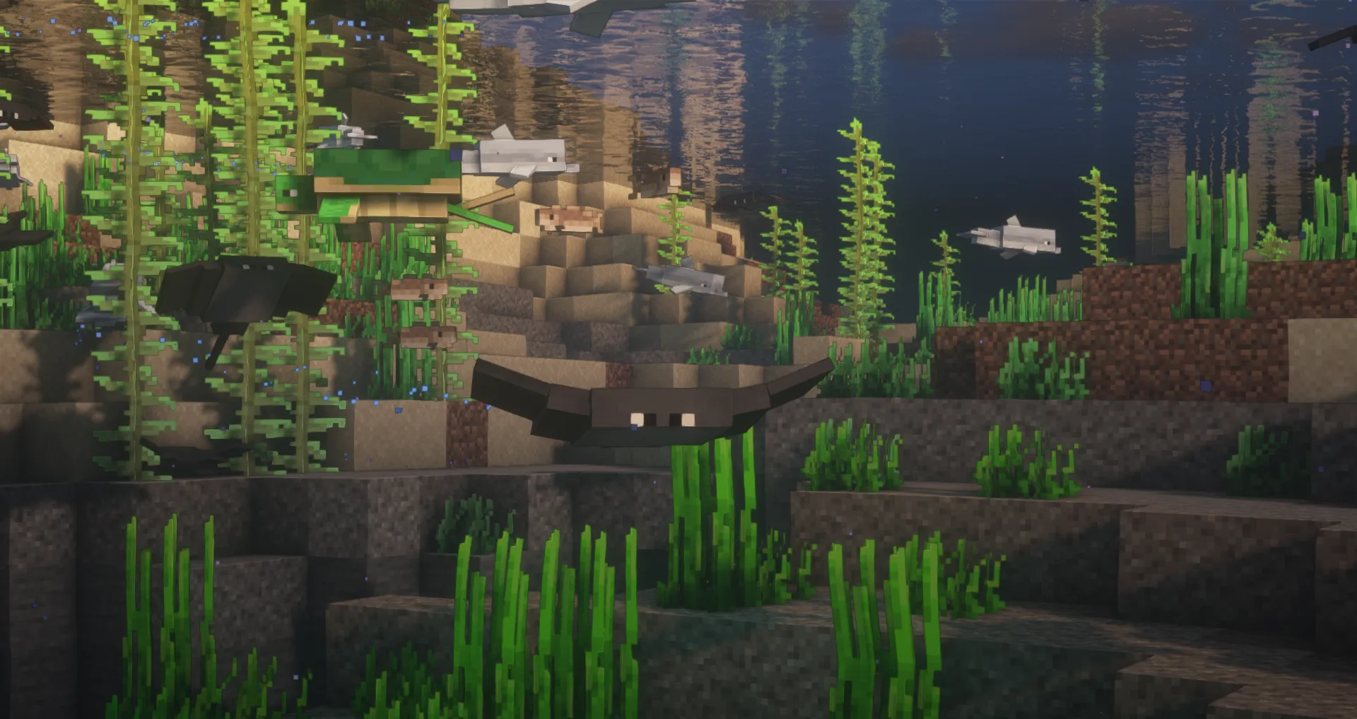 Stingrays [Cosmetic Addon], Текстуры, Minecraft