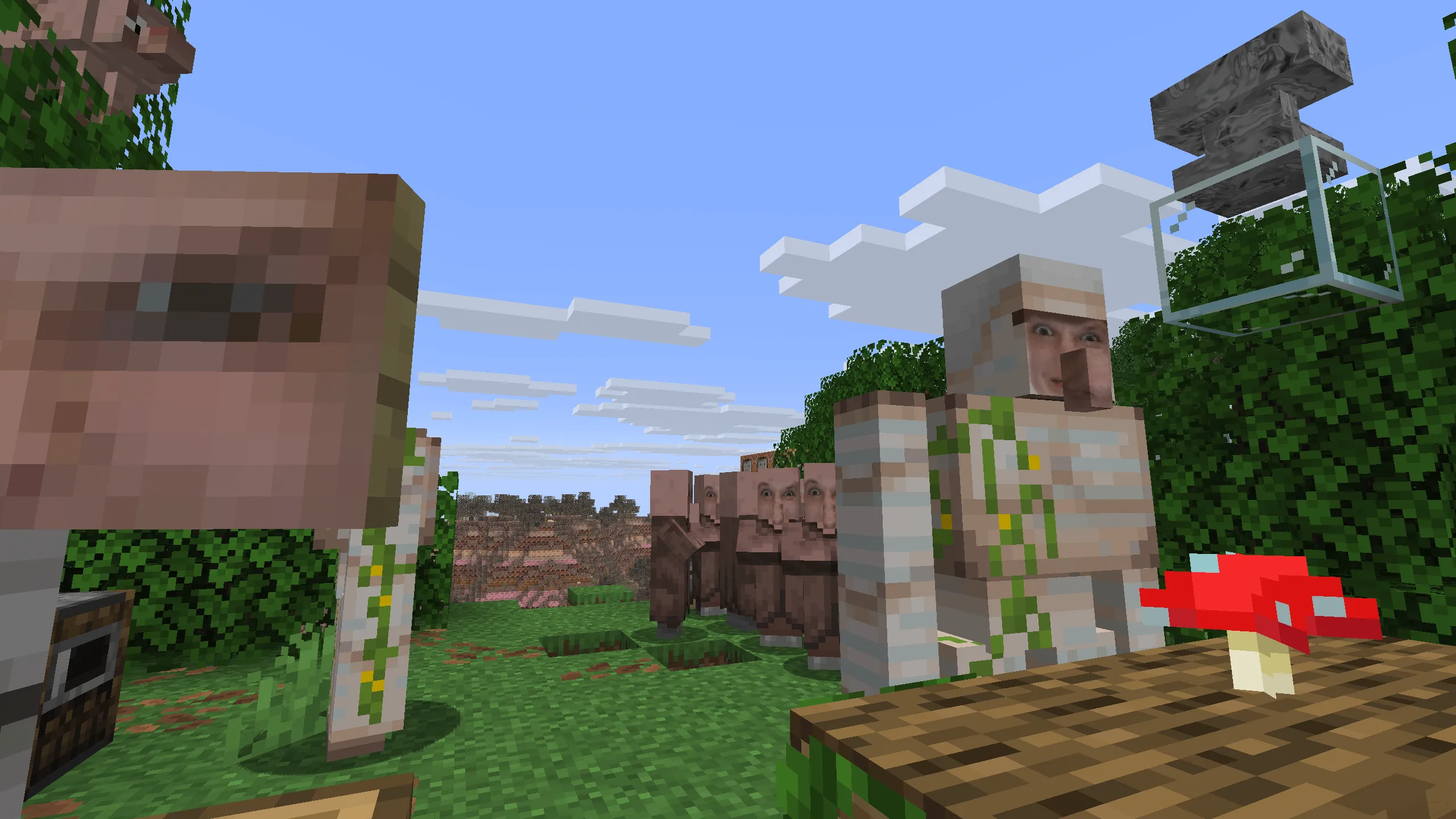 Roman, Текстуры, Minecraft