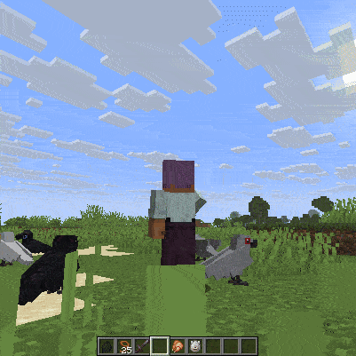 Animal Garden - Common Raven, Моды, Minecraft