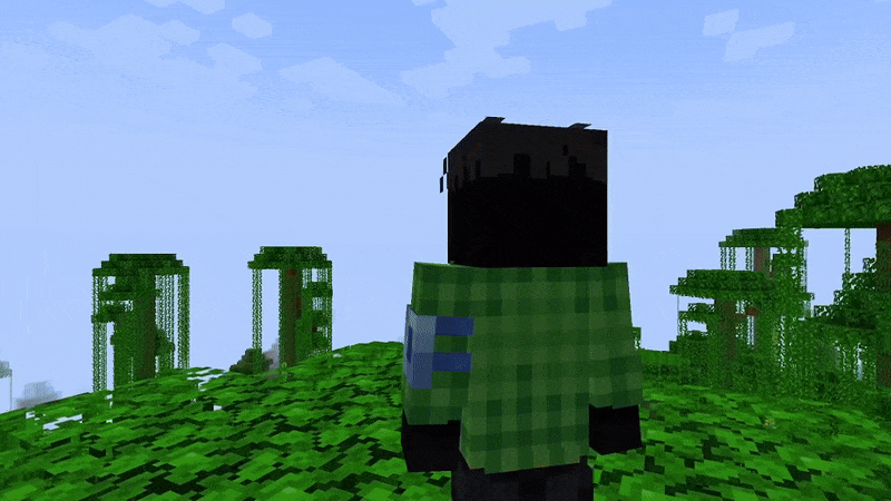 Tools On My Back (TOMB), Моды, Minecraft