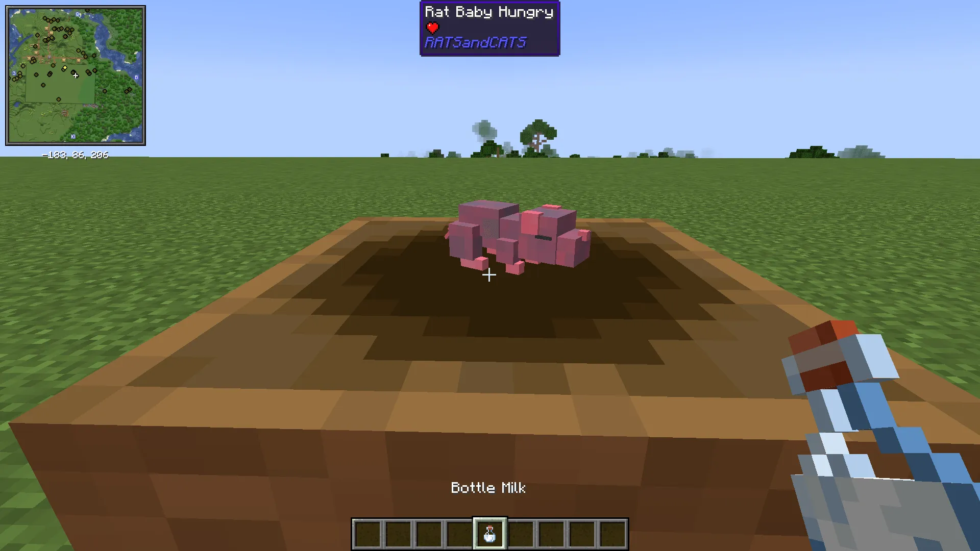 Rats and Cats — скриншот 12 (Моды, Minecraft)