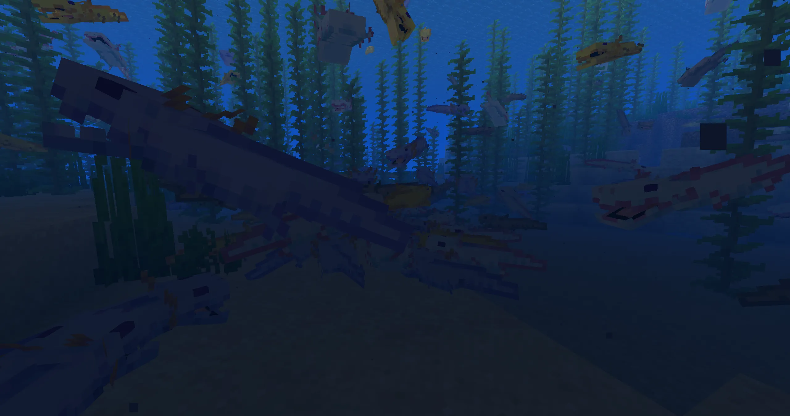 Shiny's Dracolotls, Текстуры, Minecraft