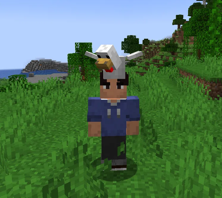 P/ride, Моды, Minecraft