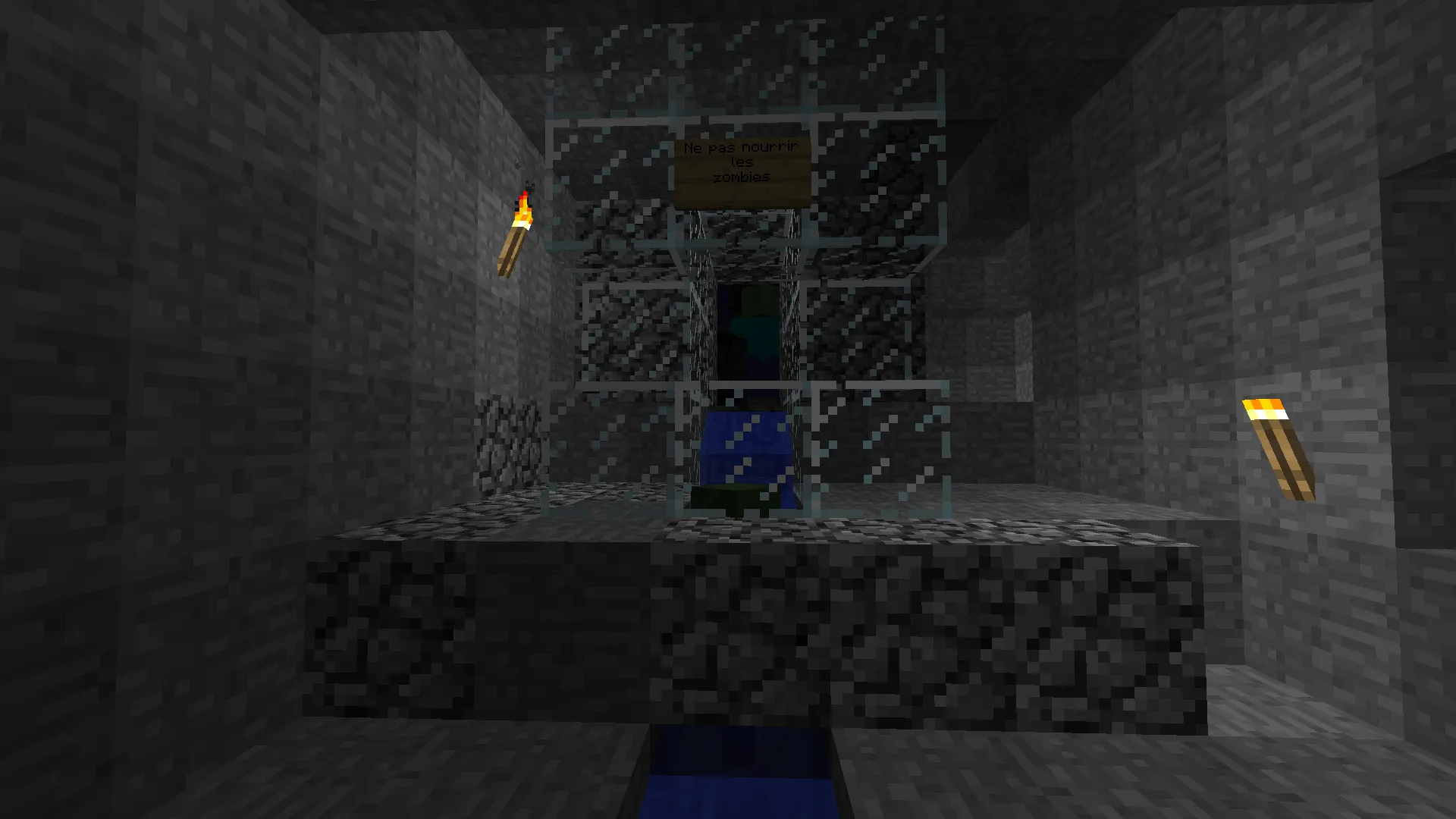 Guide pour bien débuter v1 REBORN — скриншот 12 (Карты, Minecraft)