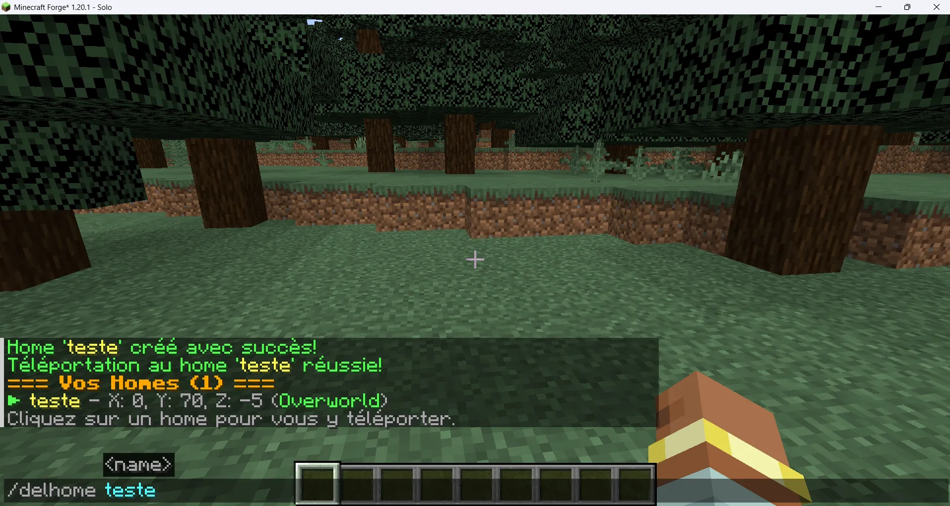 Set-Home Point — скриншот 4 (Моды, Minecraft)