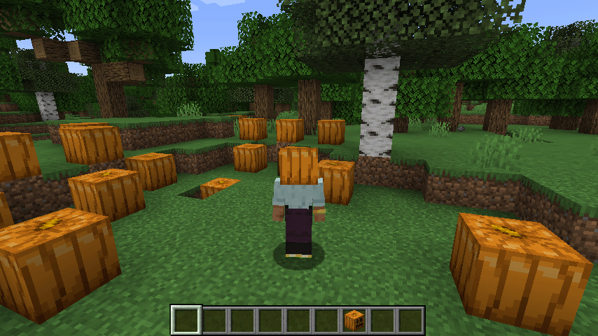 Block Morph, Моды, Minecraft