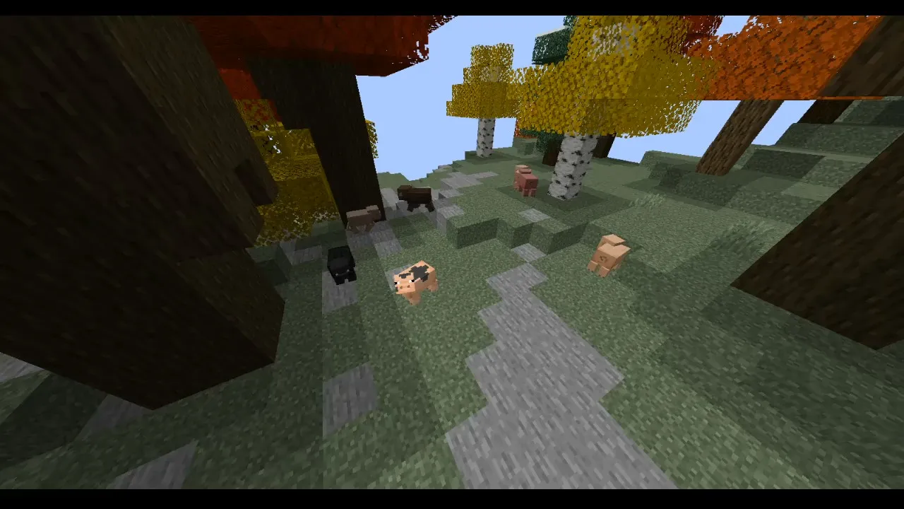 Fall Paqq, Текстуры, Minecraft