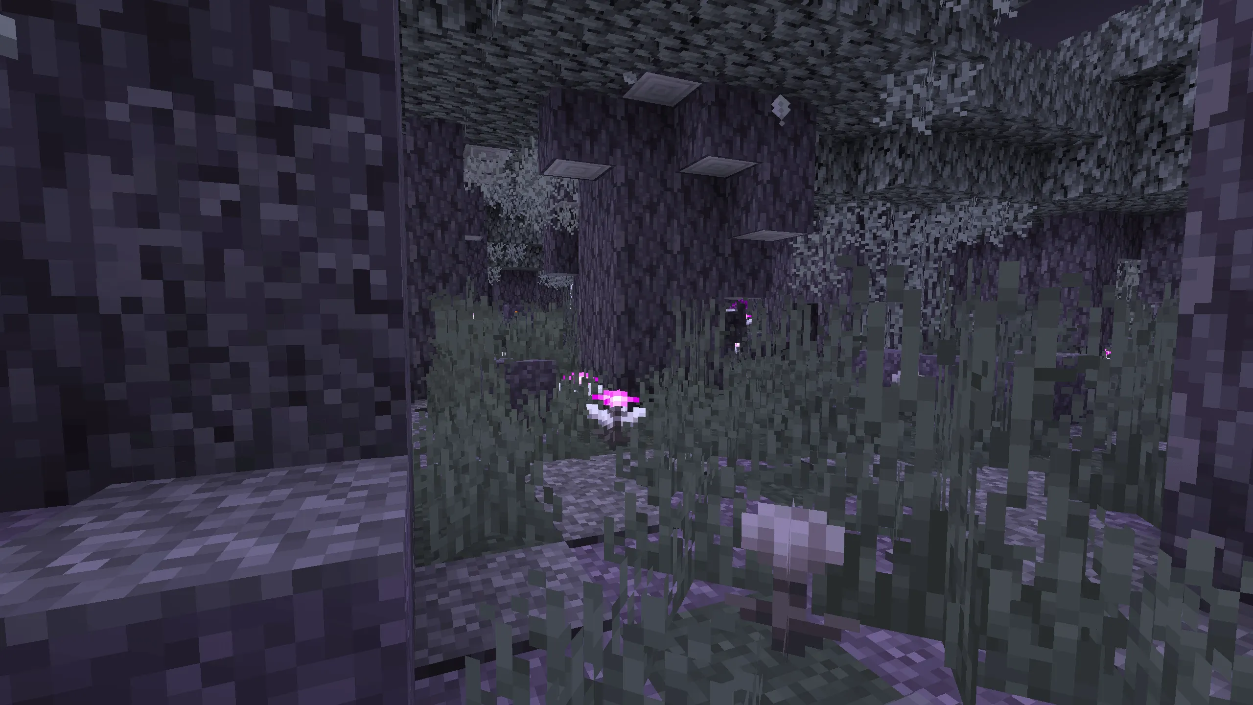 BNT's Pale Void, Текстуры, Minecraft