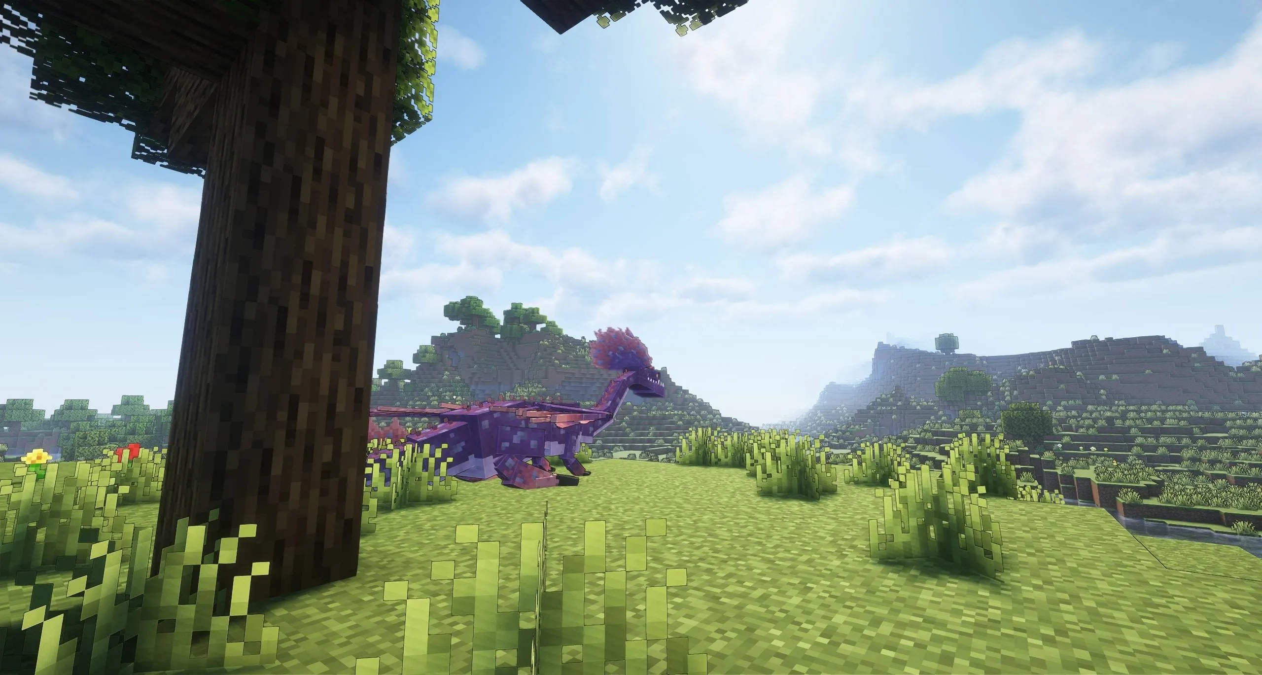 Stego's Dragons, Моды, Minecraft